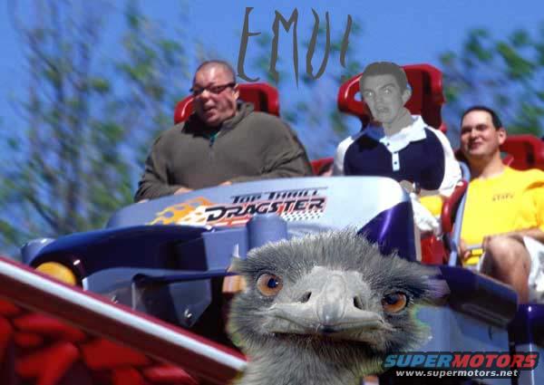 Emu face superimposed on a roller coaster with people