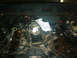 1992 Mercury Grand Marquis - March 2, 2005 (Engine with valve covers, spark plug wires & coil packs removed)