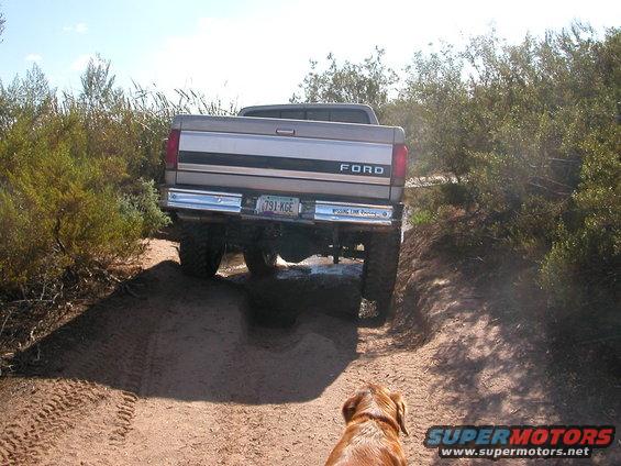 Rear view of a 1992 Ford F-150 driving on a dirt trail with a dog in the foreground