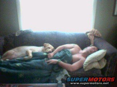 Man and dog sleeping on a couch, covered by blankets