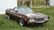 1972 Ford Ranchero - The front grille and headlights of a 1972 Ford Ranchero are visible in this outdoor shot.