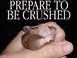1986 Ford Bronco - A hamster is held in a hand, with text and a logo visible.