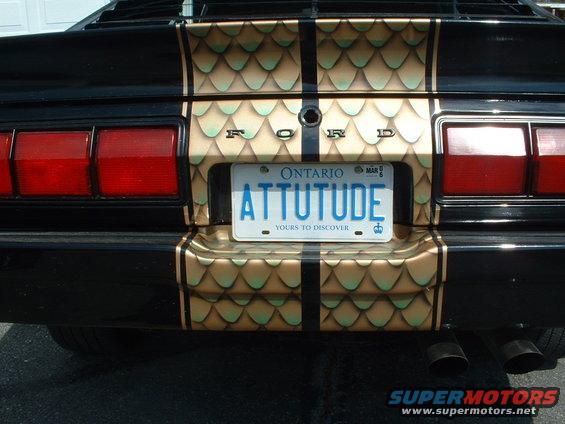 Rear of black car with gold scale graphics and racing stripes, custom license plate reads ATTITUDE