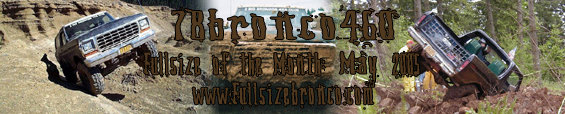 78bronco460s-banner.jpg 