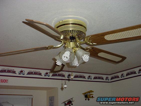 Alot of folks now a days like to use the CF bulbs in their celing fans.  The bulbs may look a little strange if you use the sprial type like this but there are also standard looking CF bulbs now available.  *important*  Don't use compact fluorescents on dimmers!!!  some celing fans have options to dim the lights!  