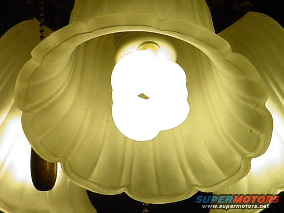 here is a picture of one of those small bulbs in my celing fan 