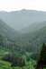 1976 Ford F-150 - A vast mountain valley filled with dense evergreen forests under a hazy sky.