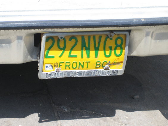Yellow license plate with green text '292NVG8' and 'FRONT BC'. Frame says 'CATCH ME IF YOU CAN'