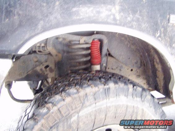 Shock and Coil Spring
