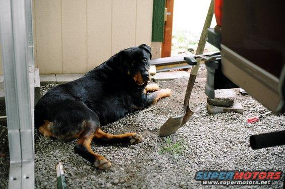Call in the supervisor.