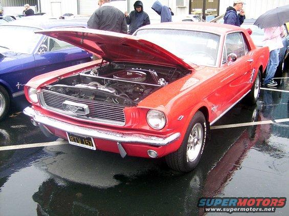 Red classic Ford Mustang coupe with hood open, showing engine. Blue Mustang visible to the left. License plate RTV 157