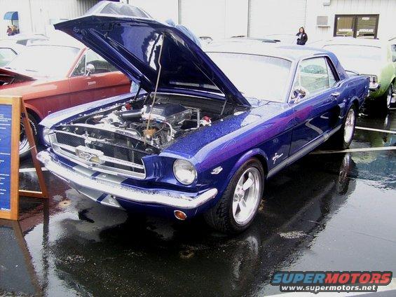 Blue 1965 Ford Mustang coupe with hood open, showing engine, on wet pavement