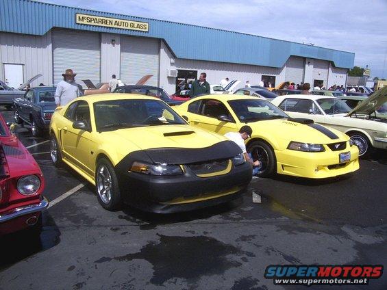 Two yellow Mustangs parked outside a building. One has a black car bra. A person is cleaning the wheel of the second Mustang
