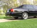 1999 Ford Crown Victoria - The rear of a black sedan is shown parked on a lawn with trees in the background.