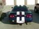 1995 Ford Probe - The rear of a dark blue 1995 Ford Probe is visible with white racing stripes and a GT badge.