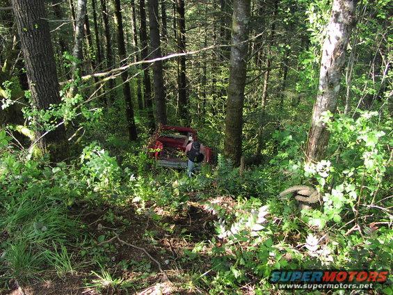 Red pickup truck partially obscured by foliage in a forest