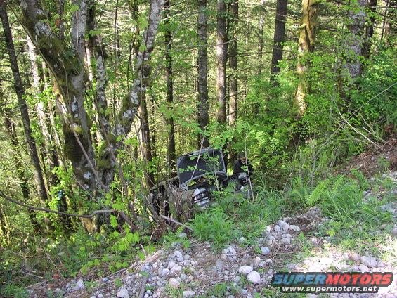 Off-road vehicle partially obscured by trees and foliage