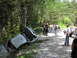 1993 Ford Bronco - A group of people observe a car that has gone off the road and overturned in the woods.