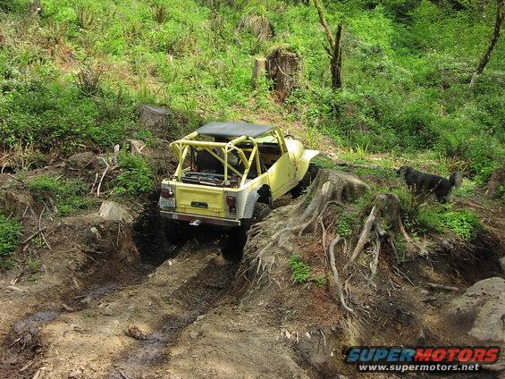 yellow jeep with roll cage going down a muddy trail, dog watching