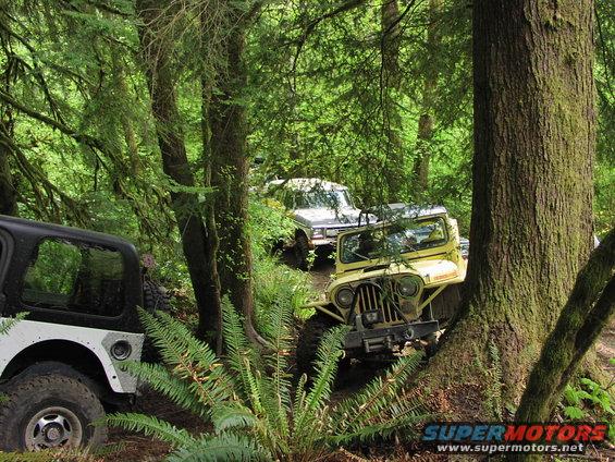 Yellow Jeep Wrangler navigating a wooded trail with other vehicles present