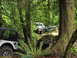 1993 Ford Bronco - Several off-road vehicles traverse a dense forest trail during a cleanup event.