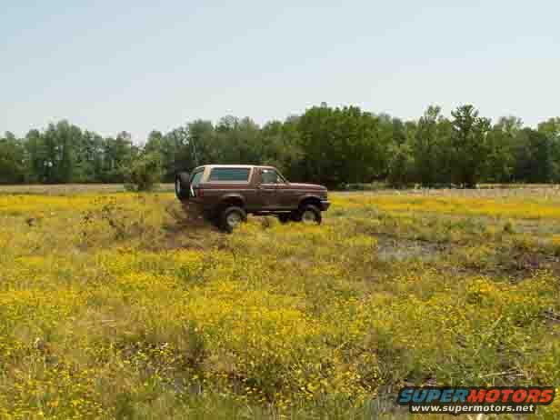1988 Ford Bronco driving through a field of yellow flowers