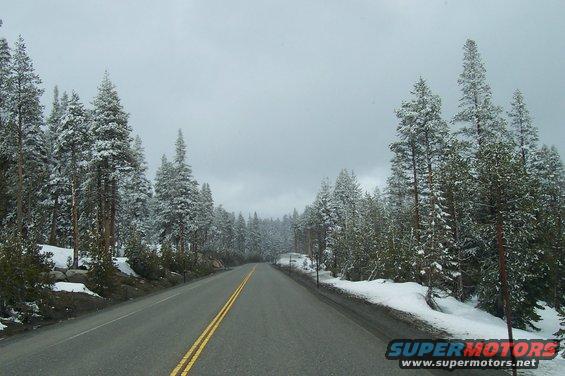 Asphalt road with double yellow lines passes through a forest with snow-covered pine trees under a cloudy sky