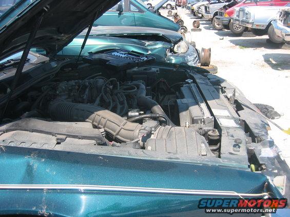 img_0649.jpg 1998 Thunderbird. This pic shows the depth of the electric fan into the engine bay, and kind of what to look for when walking by one. This t-bird had the 3.8 liter engine. 
