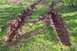 1979 Ford Bronco - Tire tracks show a vehicle struggled to gain traction in the mud.