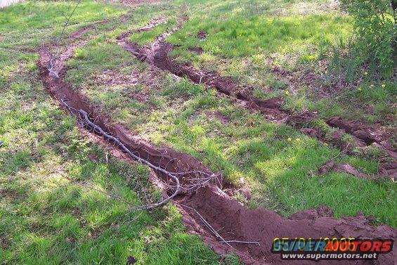 Tire tracks dug into a grassy area with branches in the ruts. Date stamp in corner