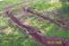 1979 Ford Bronco - Deep tire tracks mark a path through a grassy field, with branches scattered in the disturbed earth.