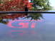1997 Ford Probe - Reflection of a red GT brake light is visible on the car's roof, with autumn foliage and trees in the background.