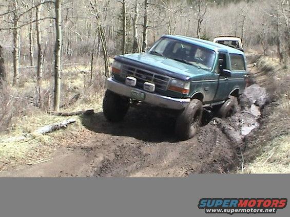 dave-stuck-4.jpg 