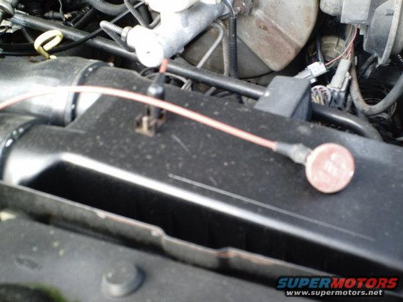 Close-up of engine bay with wiring and hoses visible