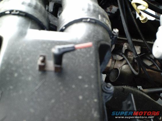Engine bay with hoses and metal pipes, a black connector with a red tip is visible