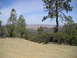 1989 Ford Bronco - A scenic view from a dirt road in a mountainous area with scattered trees and a hazy horizon.