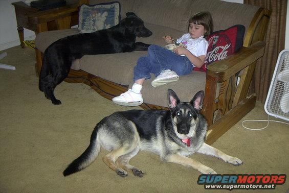 Roxie (left) Rebecca (daughter) and Heidi (Floor)