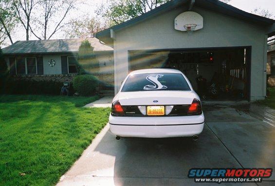 2000 Ford Crown Victoria rear view, white with snake decal on back window. Yellow license plate reads 9-05231