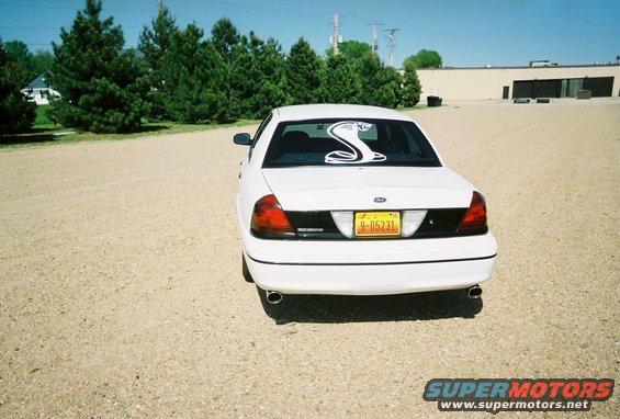 Rear view of a white sedan with a cobra sticker on the back window and a yellow license plate
