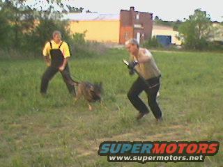 Dog training