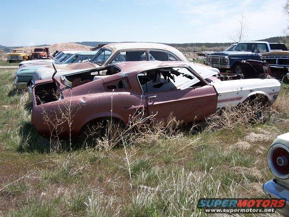 Abandoned 1967-1968 Ford Mustang fastback in junkyard, front fender replaced with white panel. Other cars visible in background