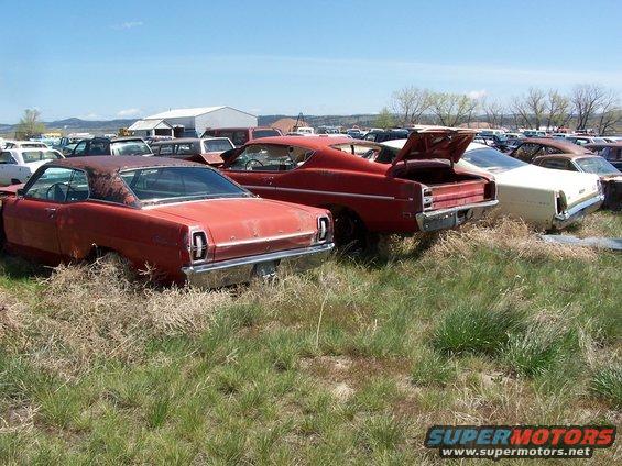 Red 1968 Ford Coupe and a red 1968 Ford fastback in a junkyard, rear view