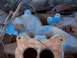 1968 Ford Coupe - Close-up of a blue Ford intake manifold, showing the part number C8OE-9425-C and the Ford logo.