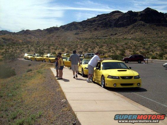 Several yellow Ford Mustangs parked in a line on a sunny day with mountains in the background