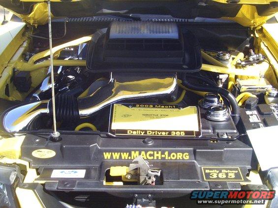Labels2 engine