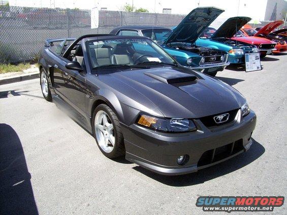 Dark gray convertible Mustang with a hood scoop parked in front of other cars with hoods up