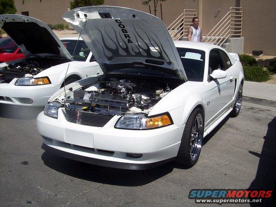White 2002 Ford Mustang Cobra front view, hood open, flame decals on underside