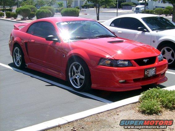 dcp_3655.jpg Spectator