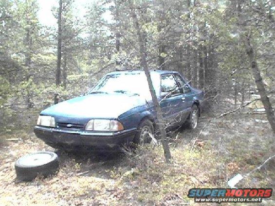 Blue coupe with flat tire in woods