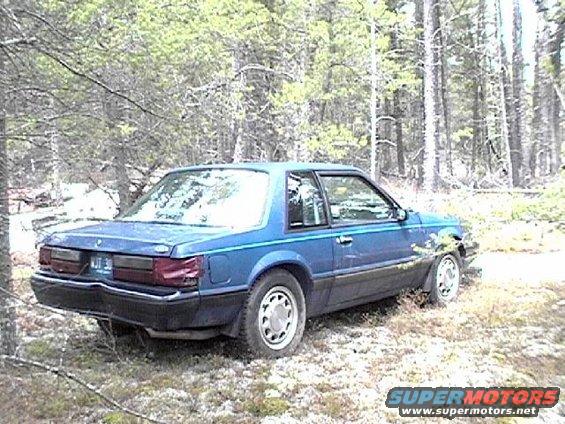 mustang3.jpg 